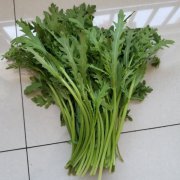 小叶茼蒿种子皇帝菜种籽光杆蒿子秆四季播阳台盆栽庭院蔬菜种子